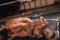 preview pic mixednudewrestling.com